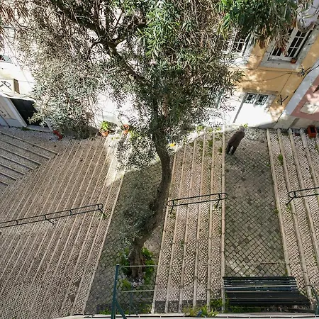 Cosy Alfama Hideout - With Rooftop Terrace Lisbon Exterior photo